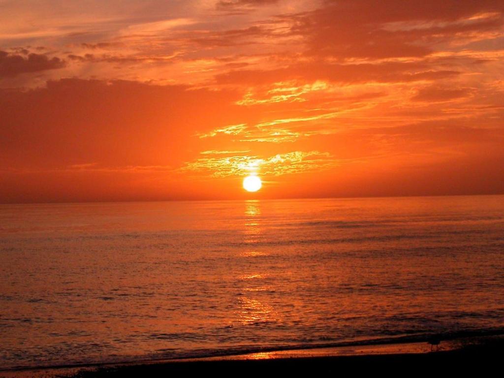 Canal 309 - Right In Siesta Key Village! מראה חיצוני תמונה